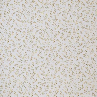 Arden Collection ADAOC flat shot