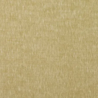Arden Collection CHRISTIEMA flat shot