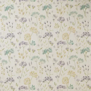 Arden Collection DAPHNEHE flat shot