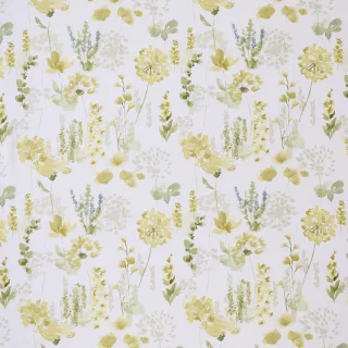 Arden Collection ELISAMA flat shot