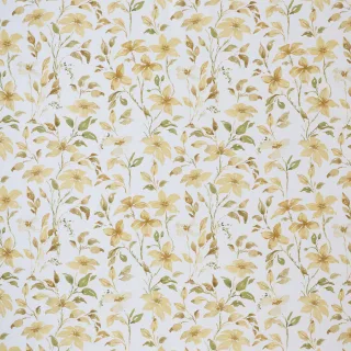 Arden Collection HALLIEMA flat shot