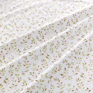 Arden Collection ADASI wave shot
