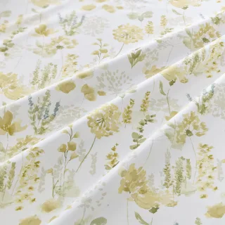 Arden Collection ELISAMA wave shot